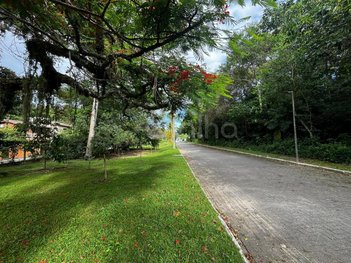 land_lot em Servidão Julia Maria da Rocha, Rio Tavares - Florianópolis - SC