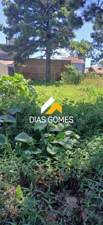 land_lot em Vila de Maia, Laranjal - Pelotas - RS