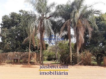 agricultural em Área Rural, Área Rural de Holambra - Holambra - SP