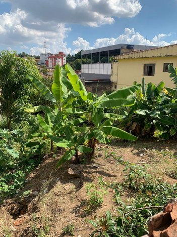 land_lot em Rua Rio Comprido, Riacho das Pedras - Contagem - MG
