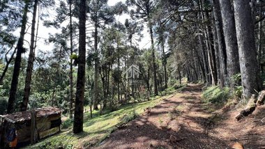 land_lot em Rua Luiz Dumont Villares, Vila Matilde - Campos do Jordão - SP