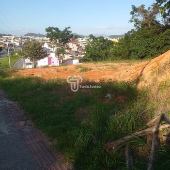 land_lot em Servidão Chico Mendes, Passa Vinte - Palhoça - SC