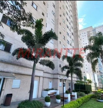 apartment em Rua Areia do Rosário, Jardim Modelo - São Paulo - SP