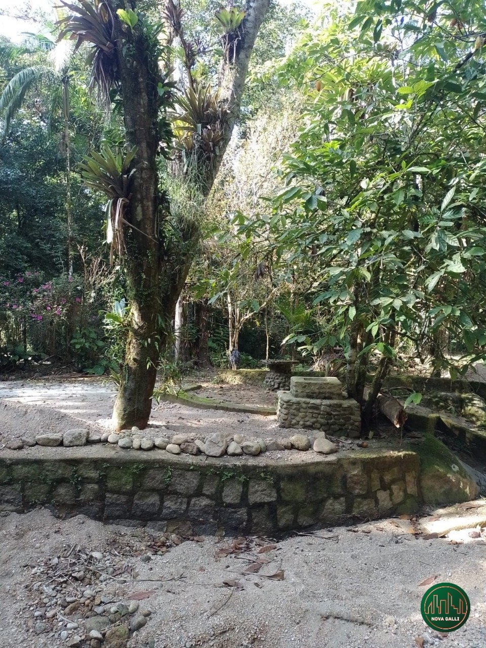 0f478989-0532-4820-b861-9124dbe8b0fb (1)