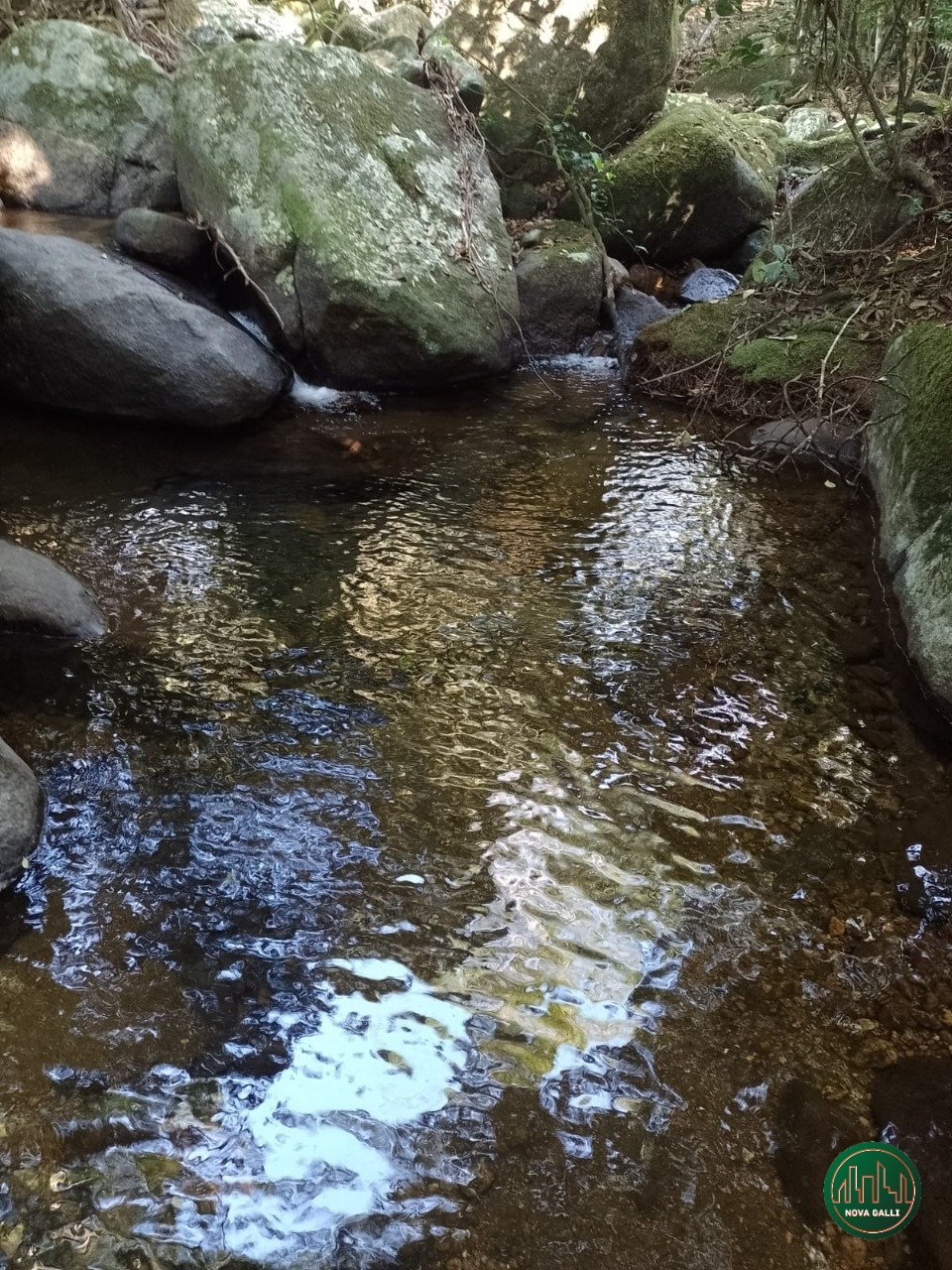 4a4794ec-36fe-43bd-a828-0e7ef0e15096