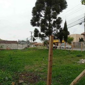 land_lot em Rodovia BR-116, Tarumã - Curitiba - PR