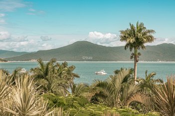 apartment em Tertuliano Brito Xavier, Canasvieiras - Florianópolis - SC