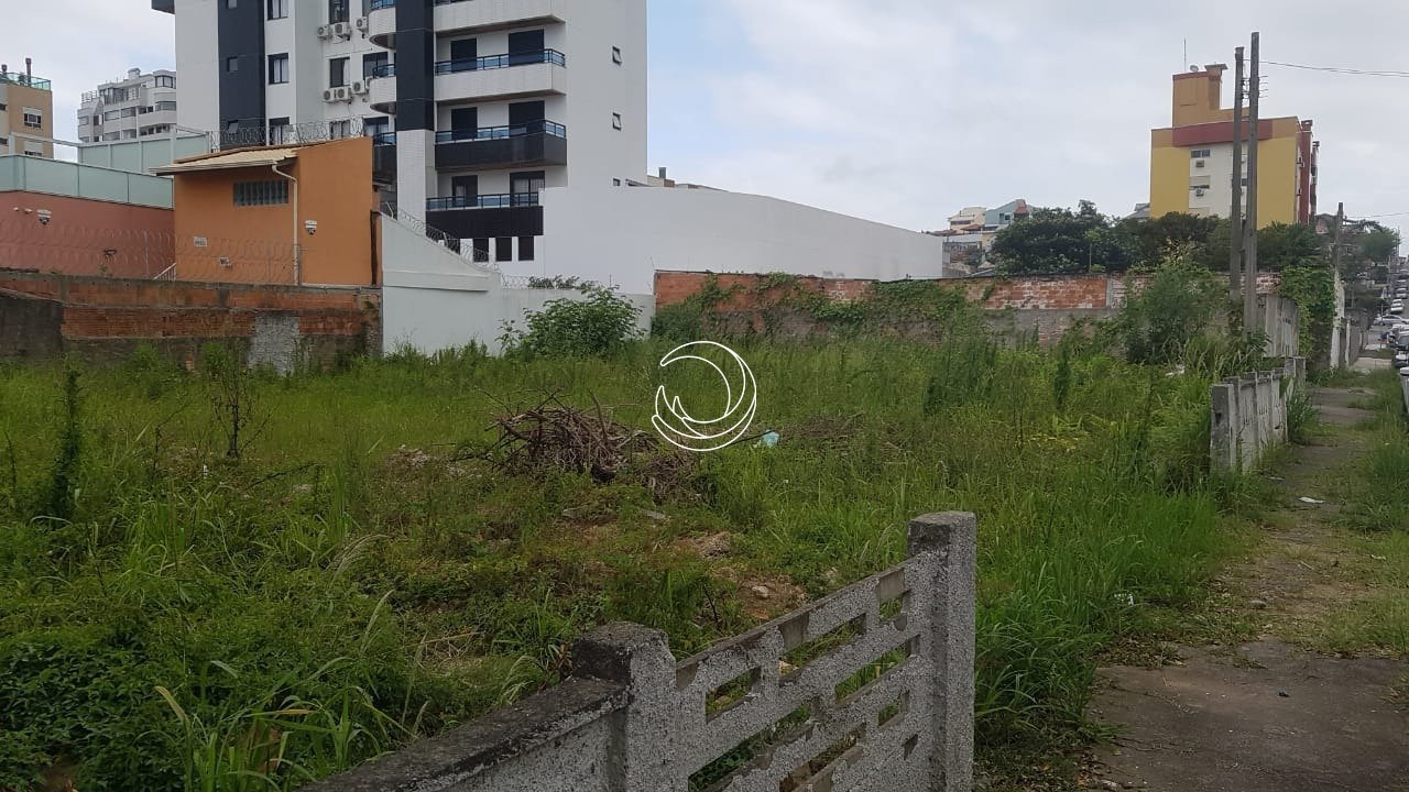 TERRENO FOTOS (2)