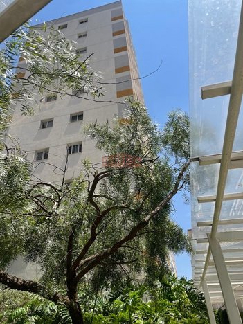 apartment em Rua Alexandrina, Cambuci - São Paulo - SP