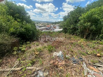 land_lot em Avenida Juca Batista, Lageado - Porto Alegre - RS