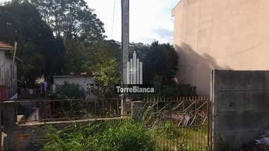 land_lot em Rua Afonso Celso, Uvaranas - Ponta Grossa - PR