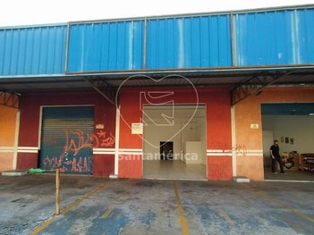 business em São Luiz, Vila Shimabokuro - Londrina - PR