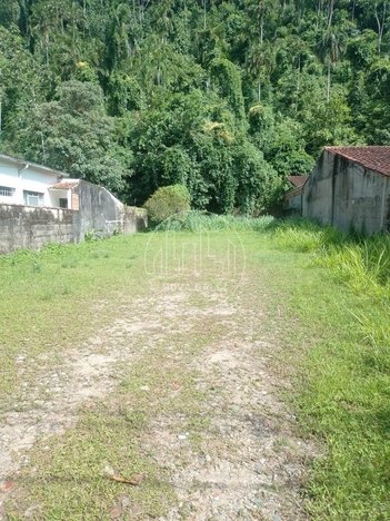 land_lot em Avenida Felix Guisard, Perequê Açu - Ubatuba - SP