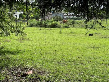 commercial_land_lot em Avenida Antonio Valmor Canela, Santa Isabel - Forquilhinha - SC