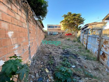 land_lot em Rua Gasolina, Petrolândia - Contagem - MG