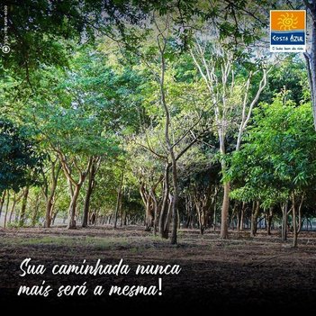 land_lot em Via Jocelim Gottardi, Cafezópolis - Araçatuba - SP