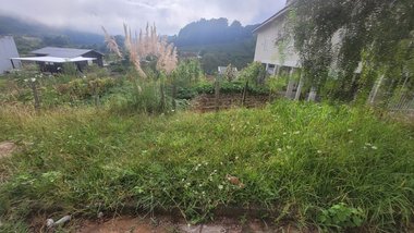 land_lot em Estrada Municipal Avelina Tomazzoni Piccoli, Monte Bérico - Caxias do Sul - RS