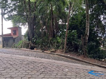 land_lot em Viela Vinicius de Sousa, Reino - Ilhabela - SP