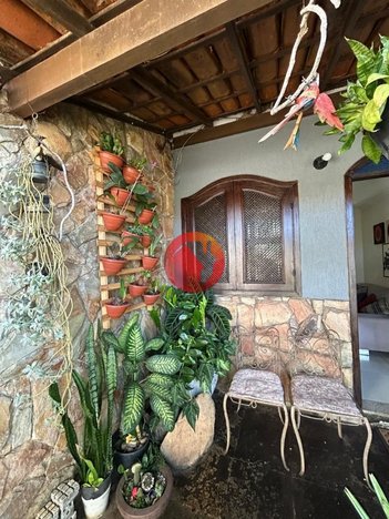 house em Rua das Codornas, Vila Cloris - Belo Horizonte - MG