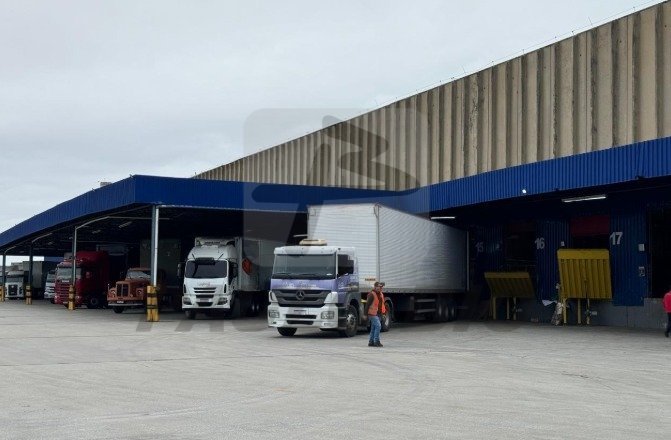 image - 2025-09-09T134055