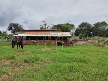 agricultural em Área Rural, Área Rural de Uberlândia - Uberlândia - MG