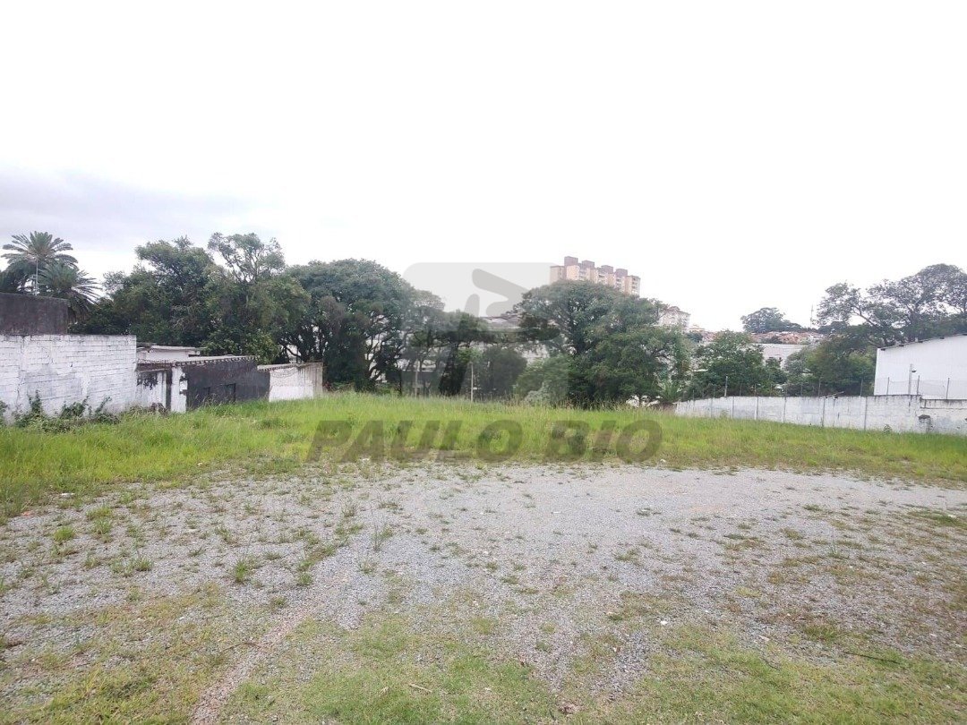 whatsapp-image-2025-04-29-at-13-38-36-21748372915443