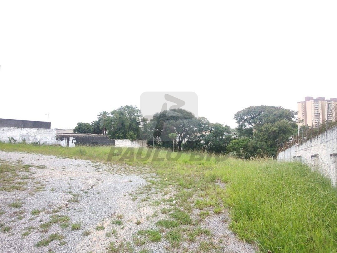 whatsapp-image-2025-04-29-at-13-38-31-11748372916193