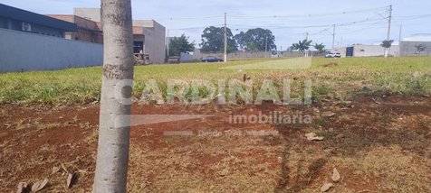 land_lot em Avenida Francisco Falvo, Residencial Samambaia - São Carlos - SP
