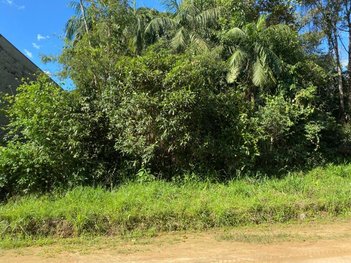 land_lot em Rua Tubarão, Pomeranos - Timbó - SC