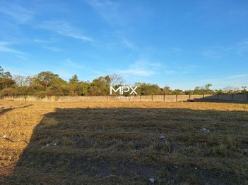 land_lot em Avenida Messias Balbino da Silva, Loteamento Industrial Palmeiras - Rio das Pedras - SP