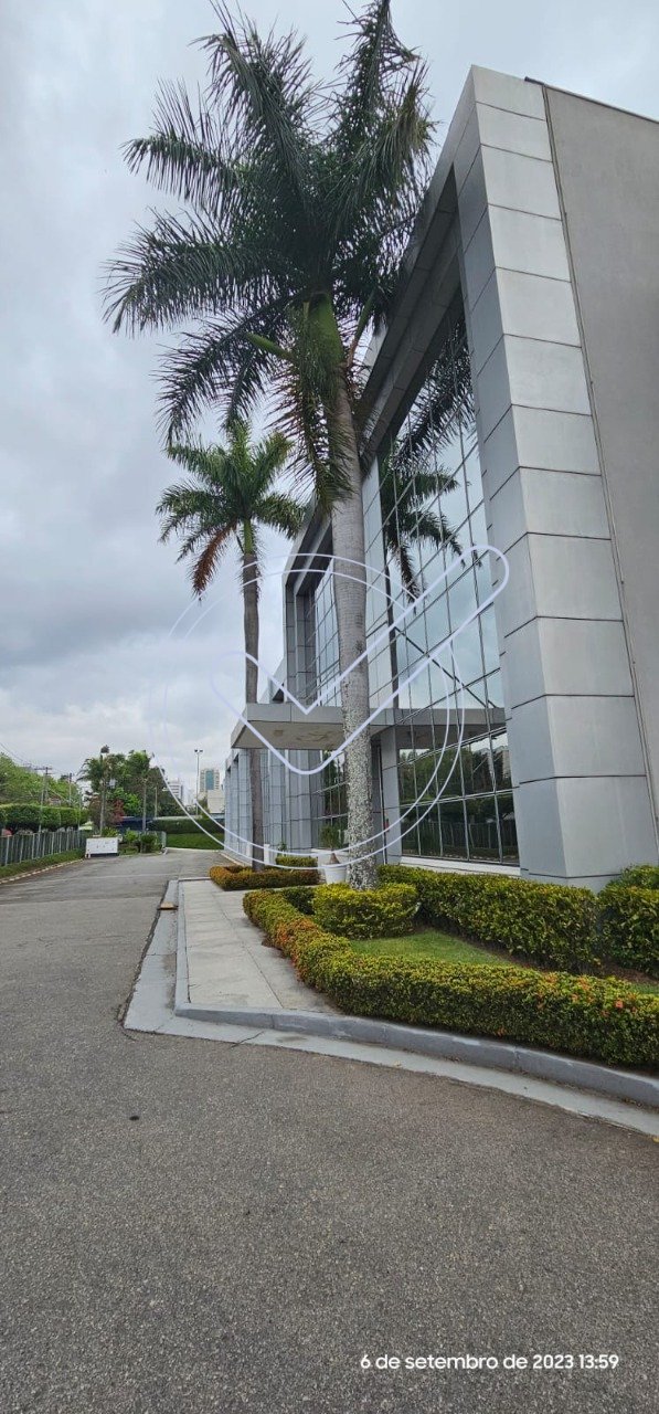 WhatsApp Image 2025-07-11 at 11.52