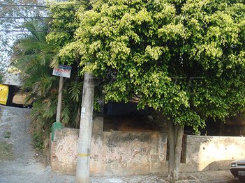land_lot em Cauré, Vila Mazzei - São Paulo - SP