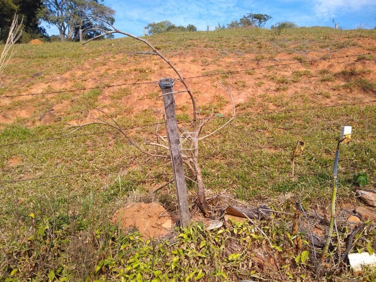 Foto 02