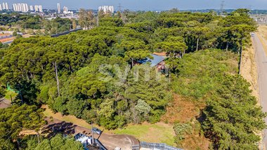 land_lot em Rua Anastácio Homann, Orleans - Curitiba - PR