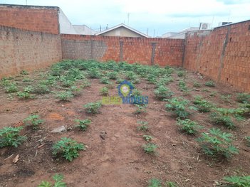 land_lot em Rua Carlos Corbucci, Concórdia I - Araçatuba - SP