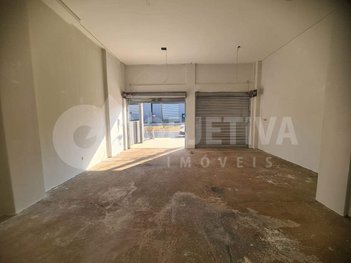 business em Avenida Iraque, Laranjeiras - Uberlândia - MG