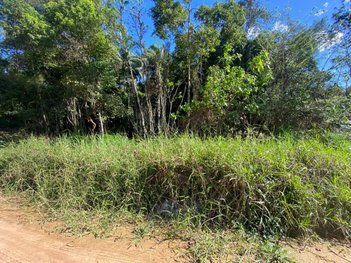 land_lot em Rua Tubarão, Pomeranos - Timbó - SC