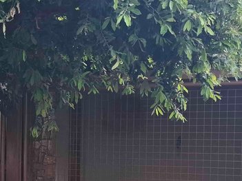 house em Rua Laureano, Chácara Aviação - Votuporanga - SP