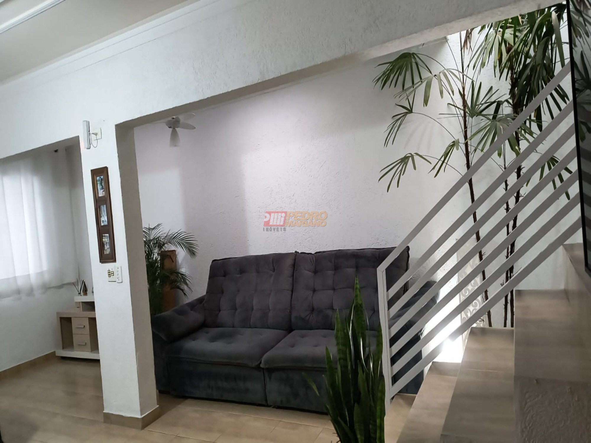 WhatsApp Image 2025-08-12 at 08.58