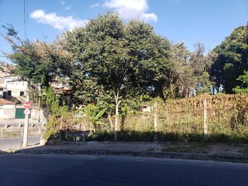 land_lot em Tomaz Antônio Gonzaga, Nacional - Contagem - MG