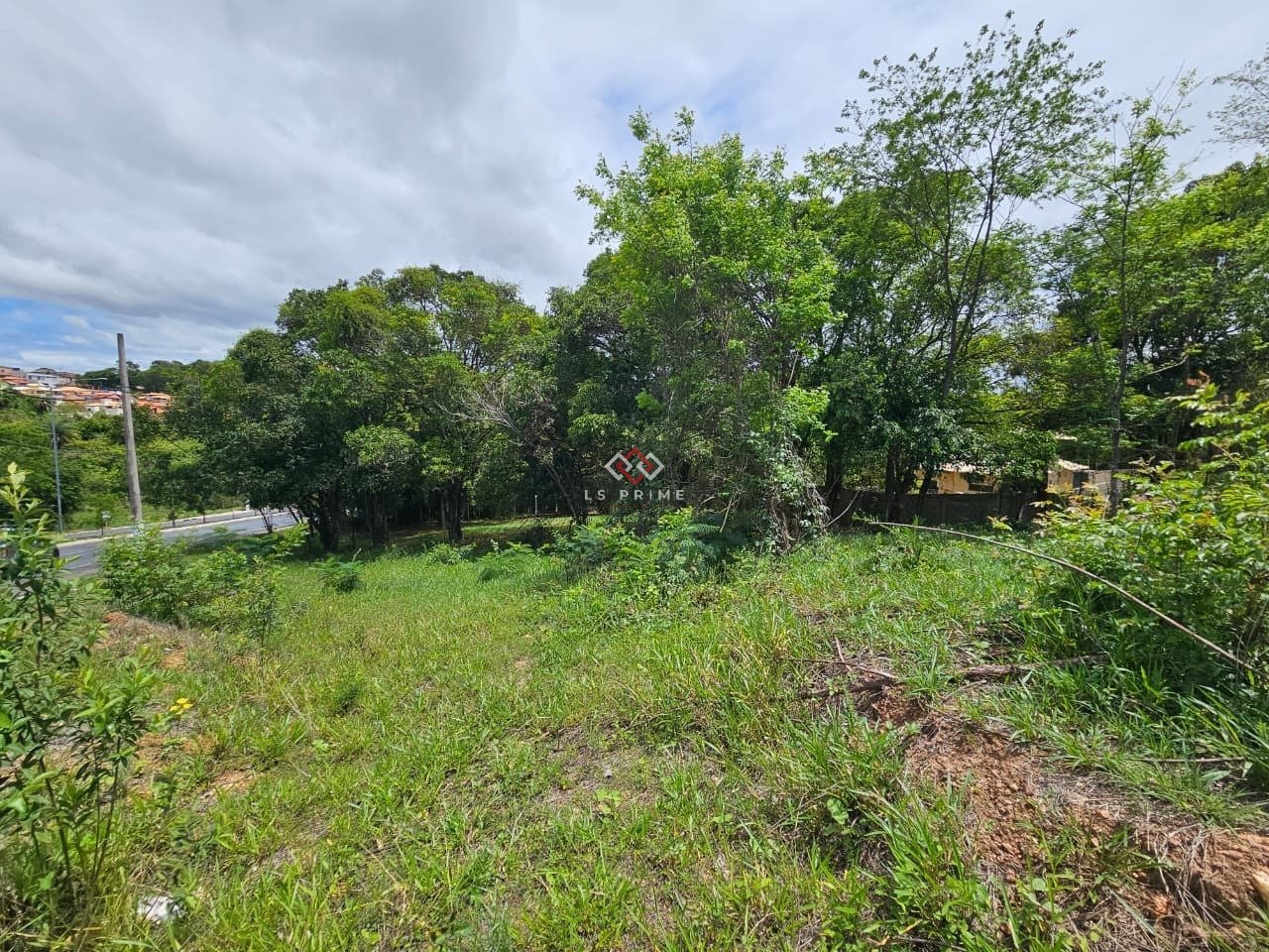 WhatsApp Image 2025-11-12 at 08.29