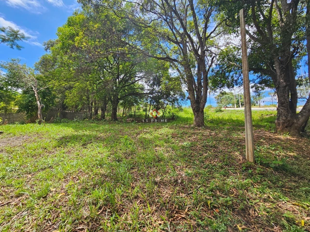 WhatsApp Image 2025-11-12 at 08.29