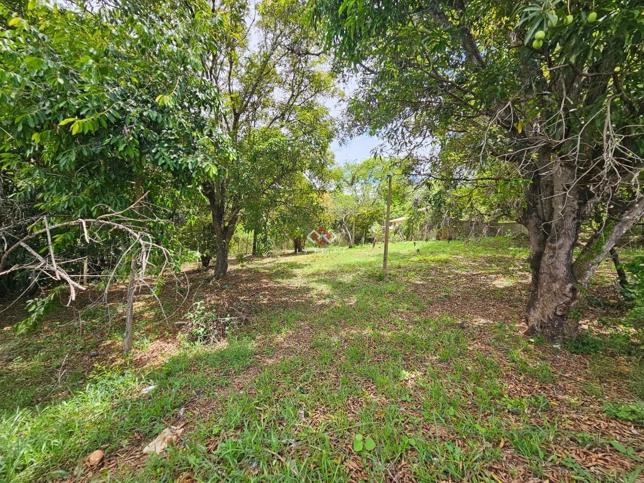 WhatsApp Image 2025-11-12 at 08.29