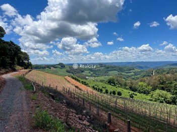 land_lot em Linha Armenio, Centro - Monte Belo do Sul - RS