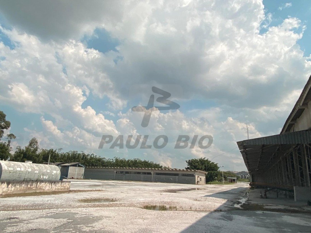 WhatsApp Image 2025-10-10 at 20.23