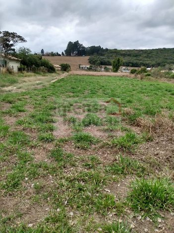 land_lot em Estrada Municipal dos Remédios, Granjas Rurais Reunidas São Judas Tadeu - Taubaté - SP