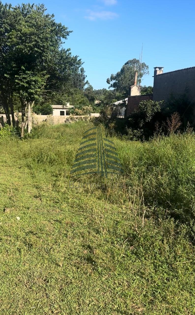 TERRENO MICHELI 03