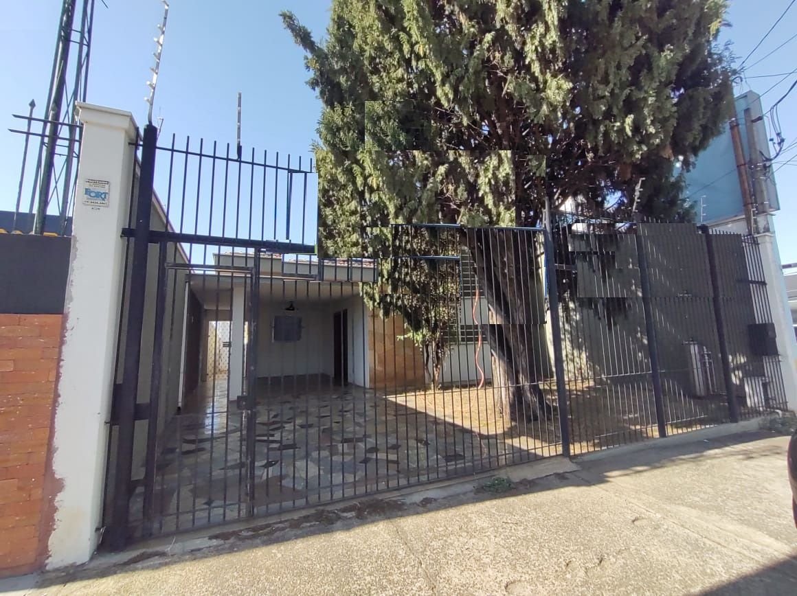image-0