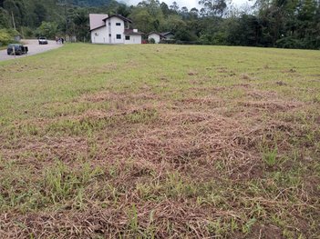 land_lot em Rua José Ostrowski Júnior, Rodeio-12 - Rodeio - SC