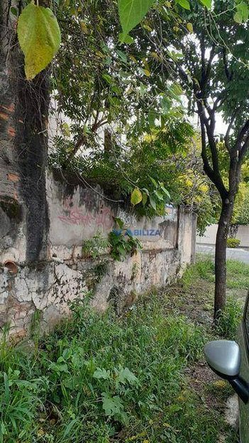land_lot em Rua Caçador, Vila Paiva - São Paulo - SP